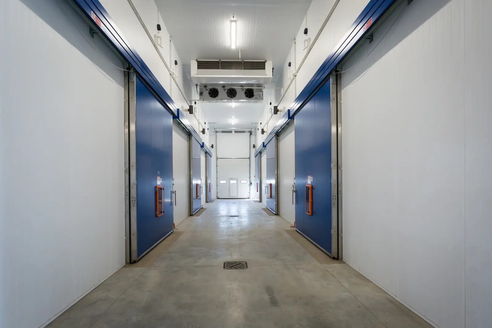 Corridor of controlled atmosphere stores with gas-tight doors